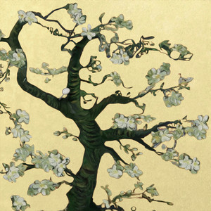 久草免费新视频14
