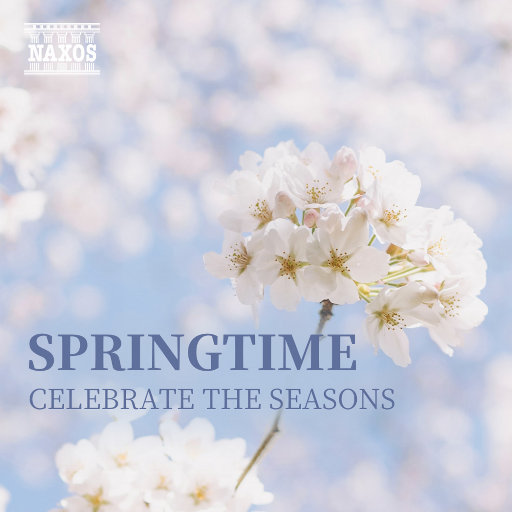 久草免费新视频14
